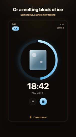 Ice focus timer