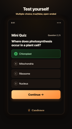 Mini quiz