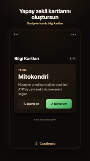 Yapay zekâ bilgi kartları