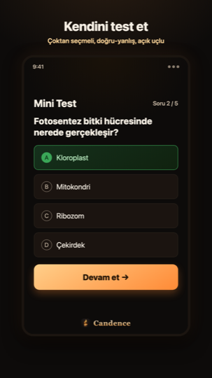 Mini test